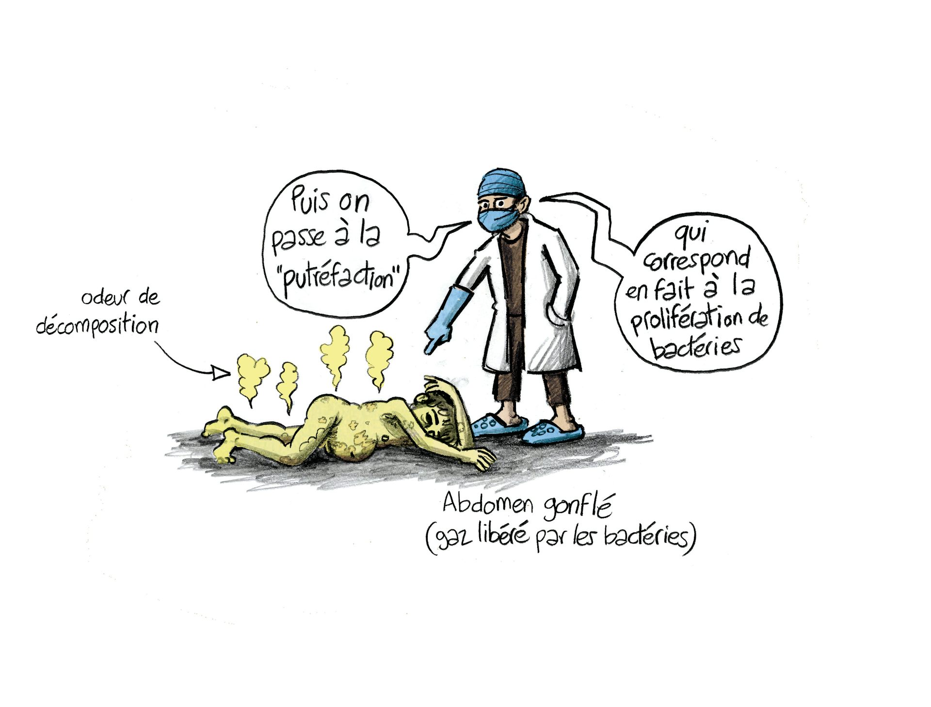 Planche 75 : à décrire