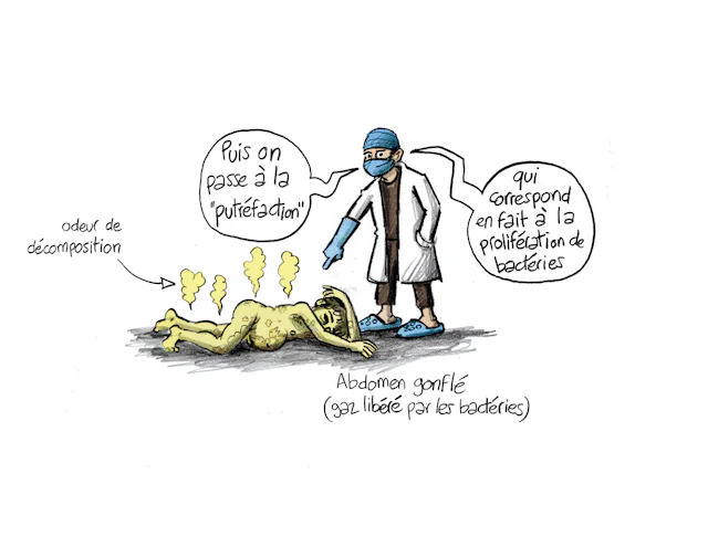 Planche 75 : à décrire