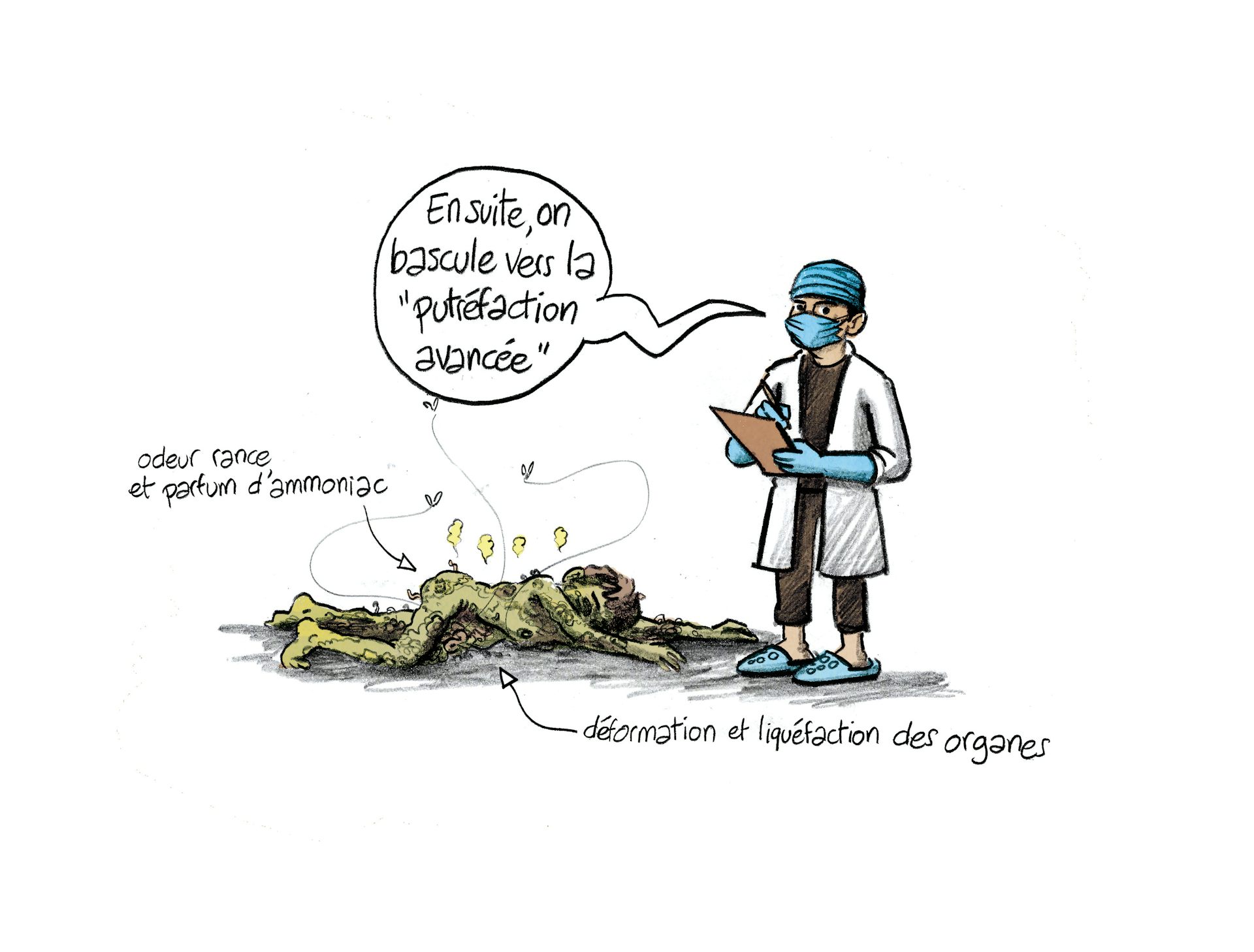 Planche 76 : à décrire
