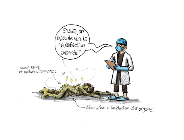 Planche 76 : à décrire