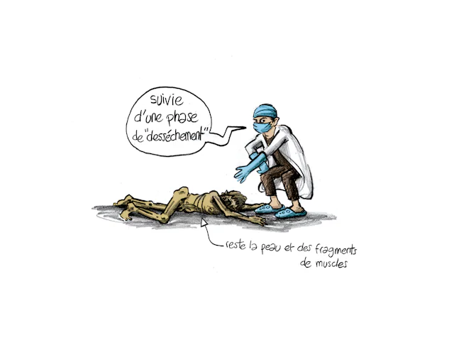 Planche 77 : à décrire