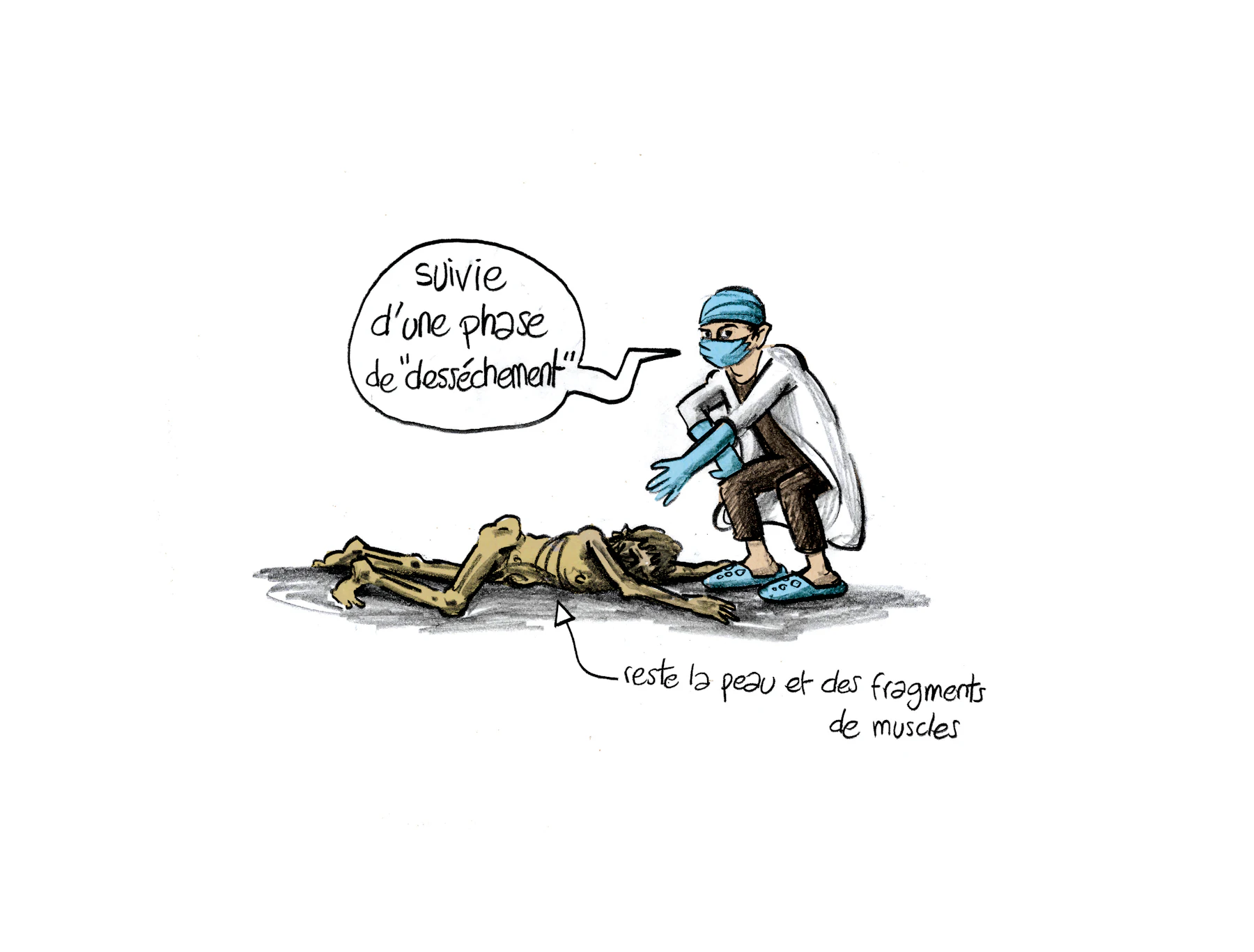 Planche 77 agrandie