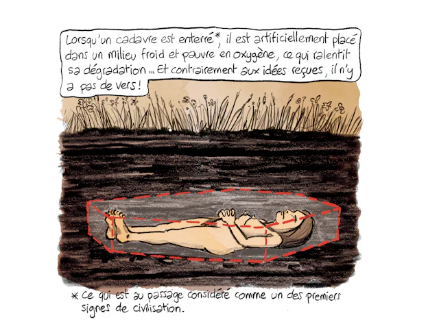 Planche 79 : à décrire