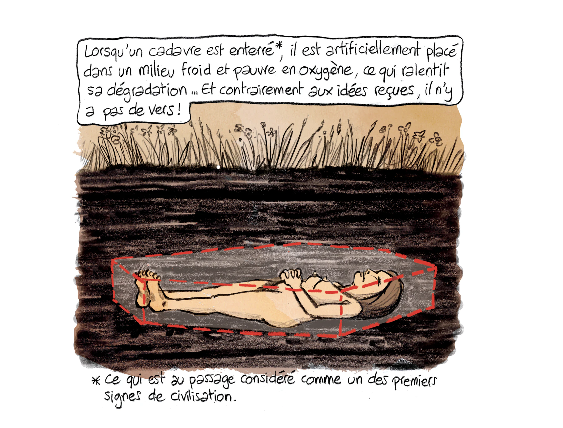 Planche 79 agrandie