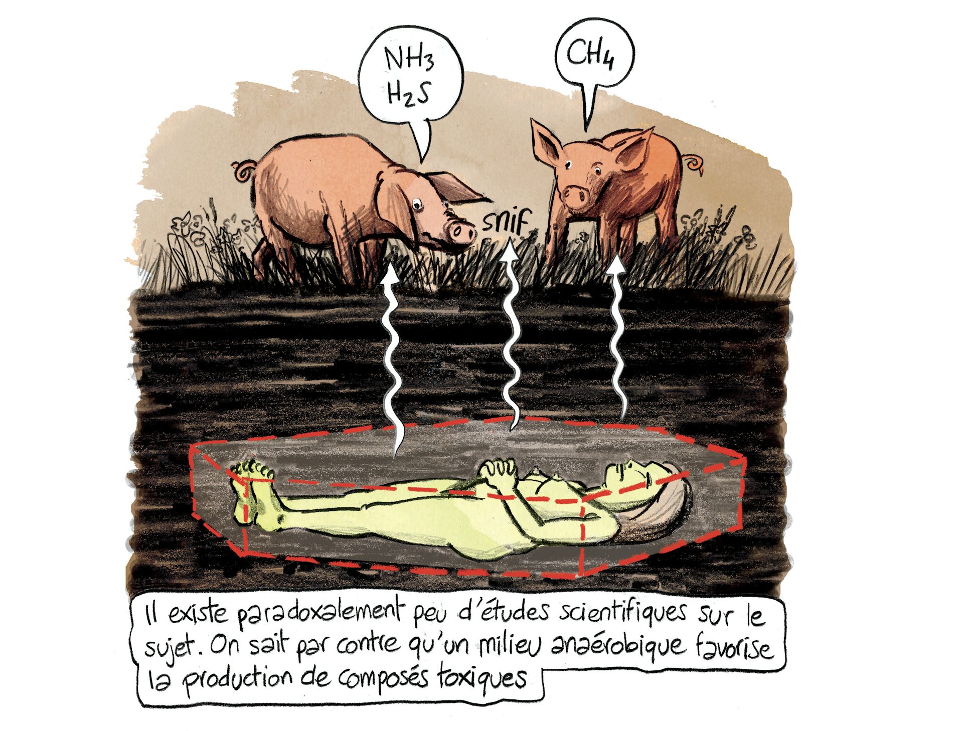 Planche 80 : à décrire