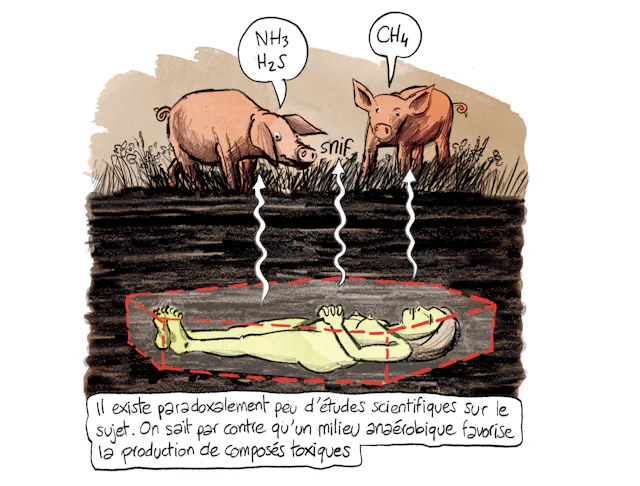 Planche 80 : à décrire