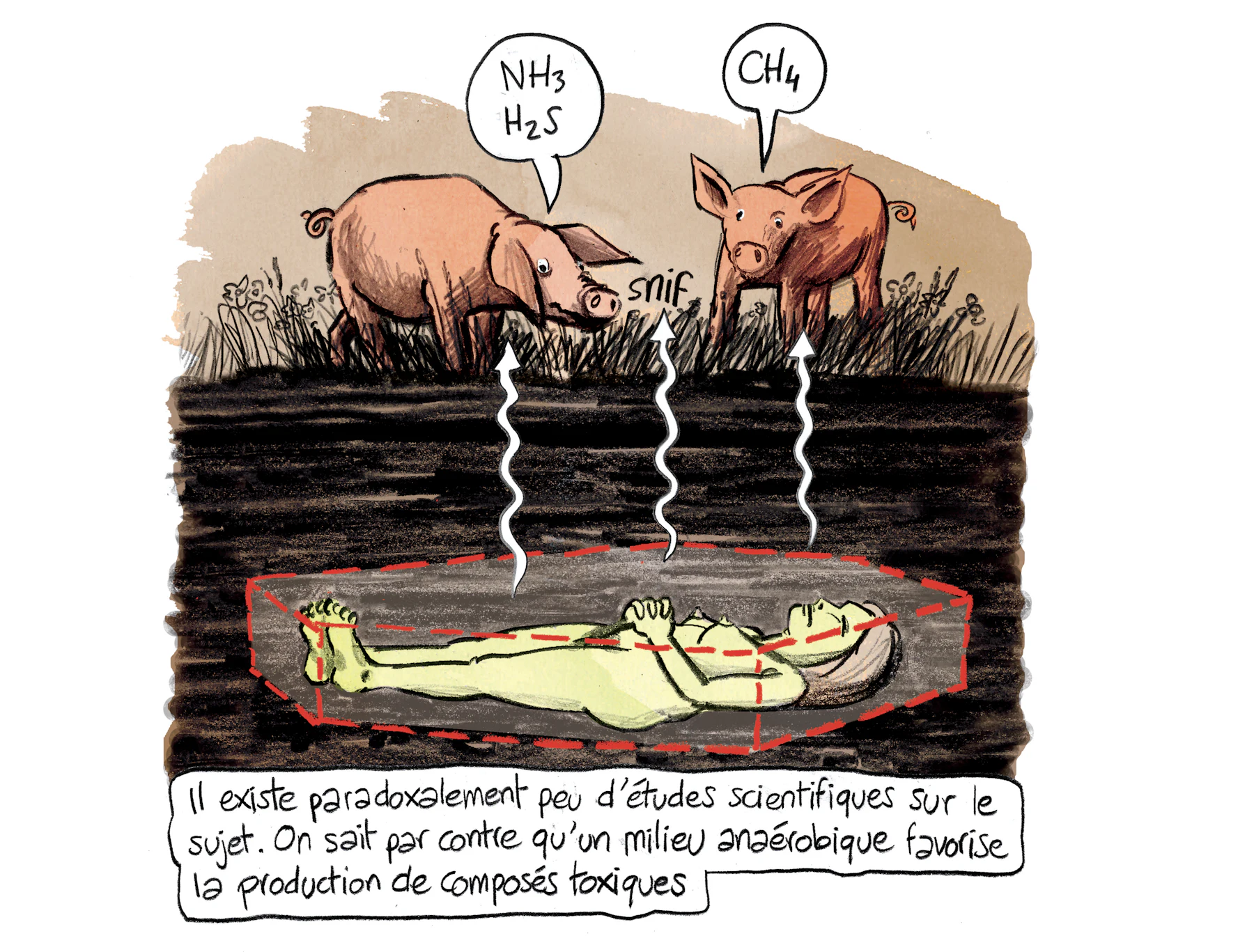 Planche 80 agrandie