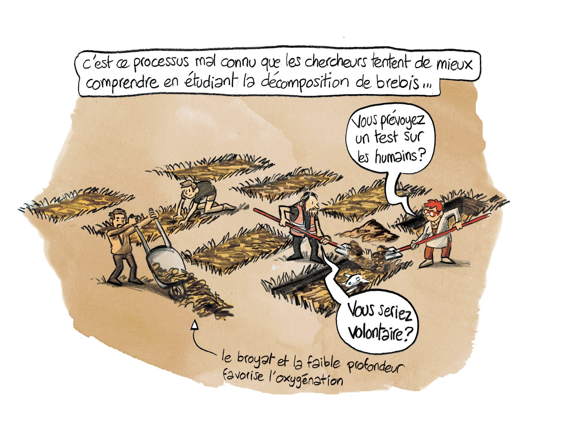 Planche 81 : à décrire