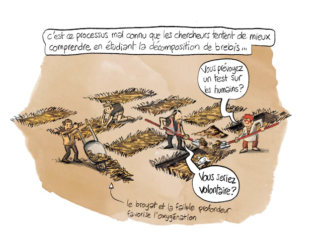 Planche 81 : à décrire