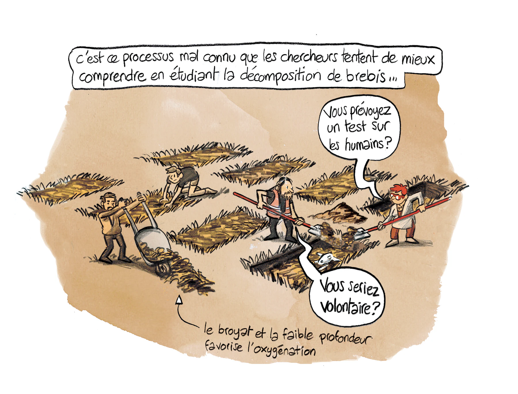 Planche 81 agrandie