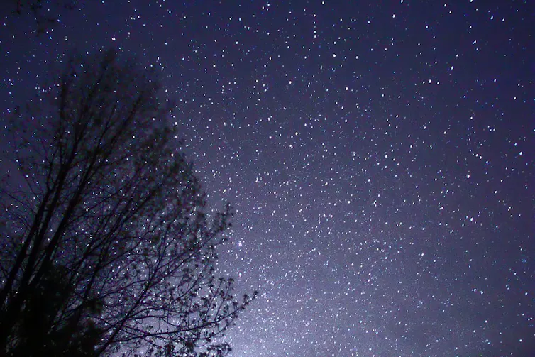 A tree silhouette against a starry night sky