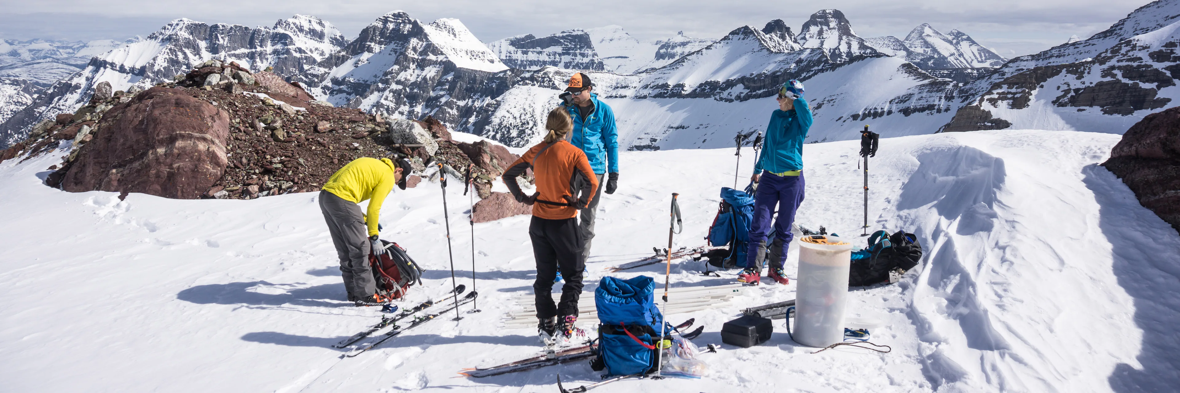Glacier Area Shrinkage