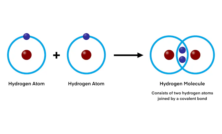 Two hydrogen atoms combine to form a hydrogen molecule through a covalent bond, sharing electrons to achieve stability and create the simplest diatomic molecule in nature.