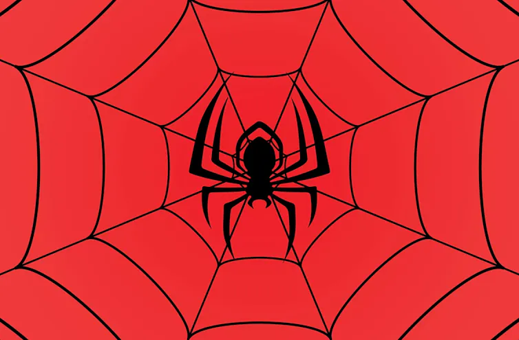 A red background with a black spider's web and a huge black spider on it.