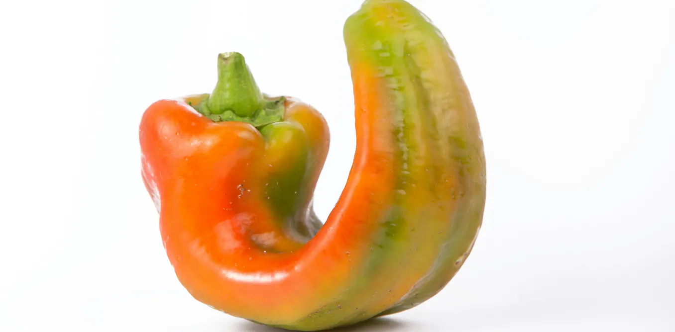 Americans are stressed about grocery prices, so why do they toss or overlook so much ‘misfit’ food? Americans are stressed about grocery prices, so why do they toss or overlook so much ‘misfit’ food?