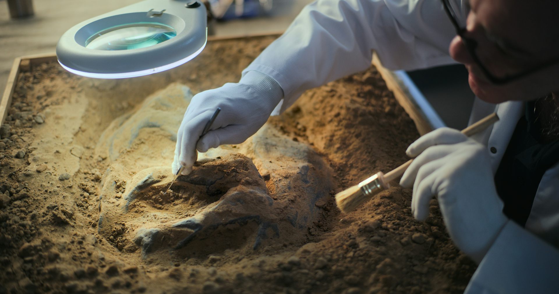 Animal life may be far older than its most ancient fossils – here’s how we uncovered its hidden history