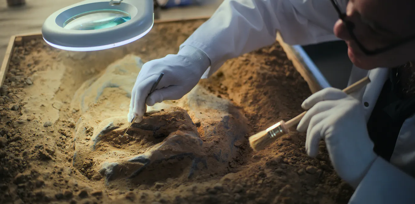 Animal life may be far older than its most ancient fossils – here’s how we uncovered its hidden history Animal life may be far older than its most ancient fossils – here’s how we uncovered its hidden history