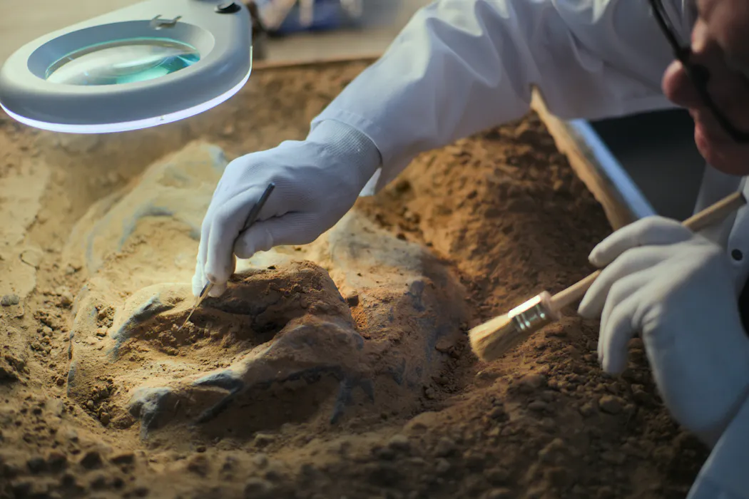 Animal life may be far older than its most ancient fossils – here’s how we uncovered its hidden history