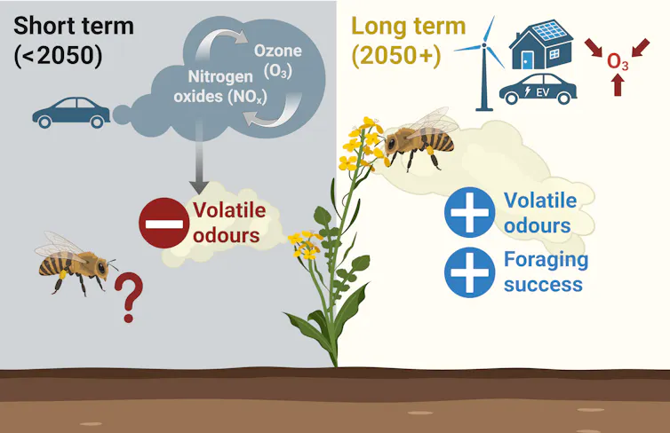 annotated diagram