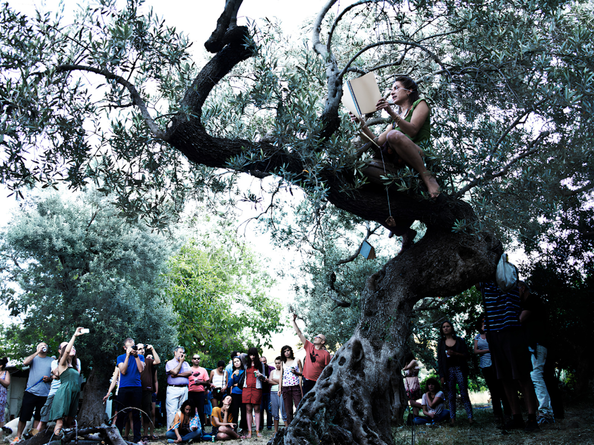 Giannisi performing from a tree