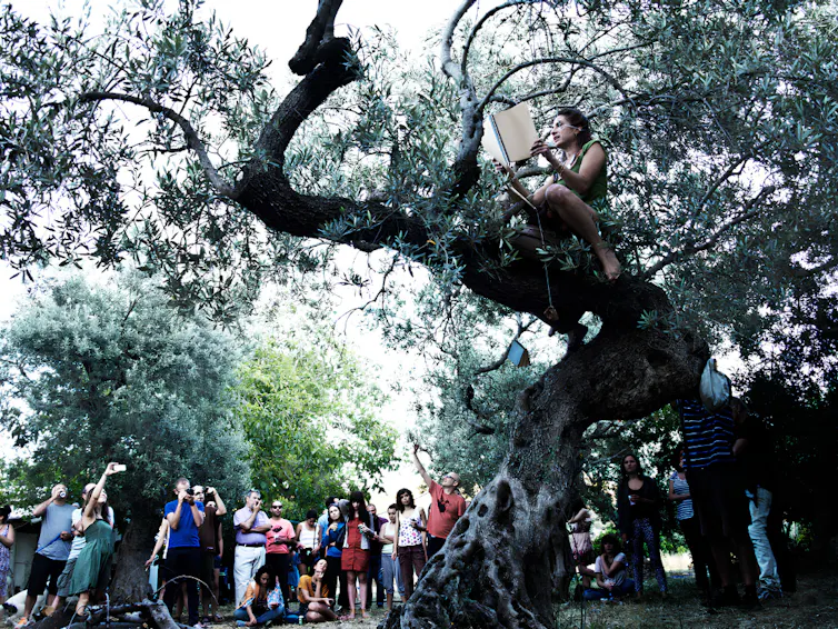 Giannisi performing from a tree