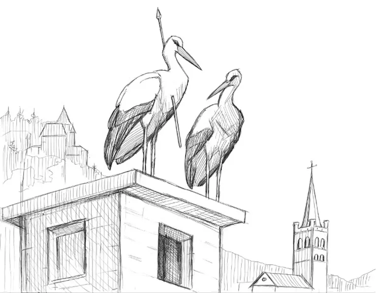 An illustration shows two birds a building with a European walled city behind. One has an arrow through its chest.