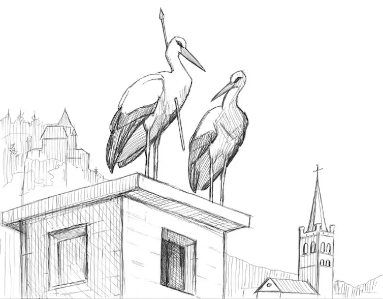 An illustration shows two birds a building with a European walled city behind. One has an arrow through its chest.