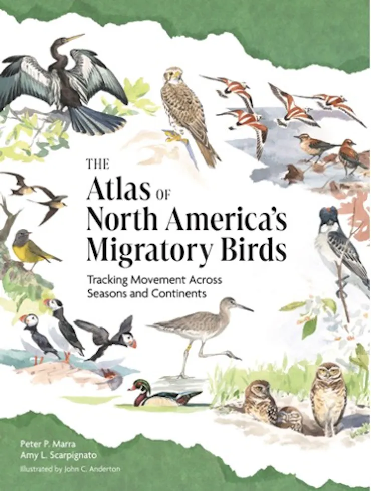 The cover of the atlas shows several types of birds.