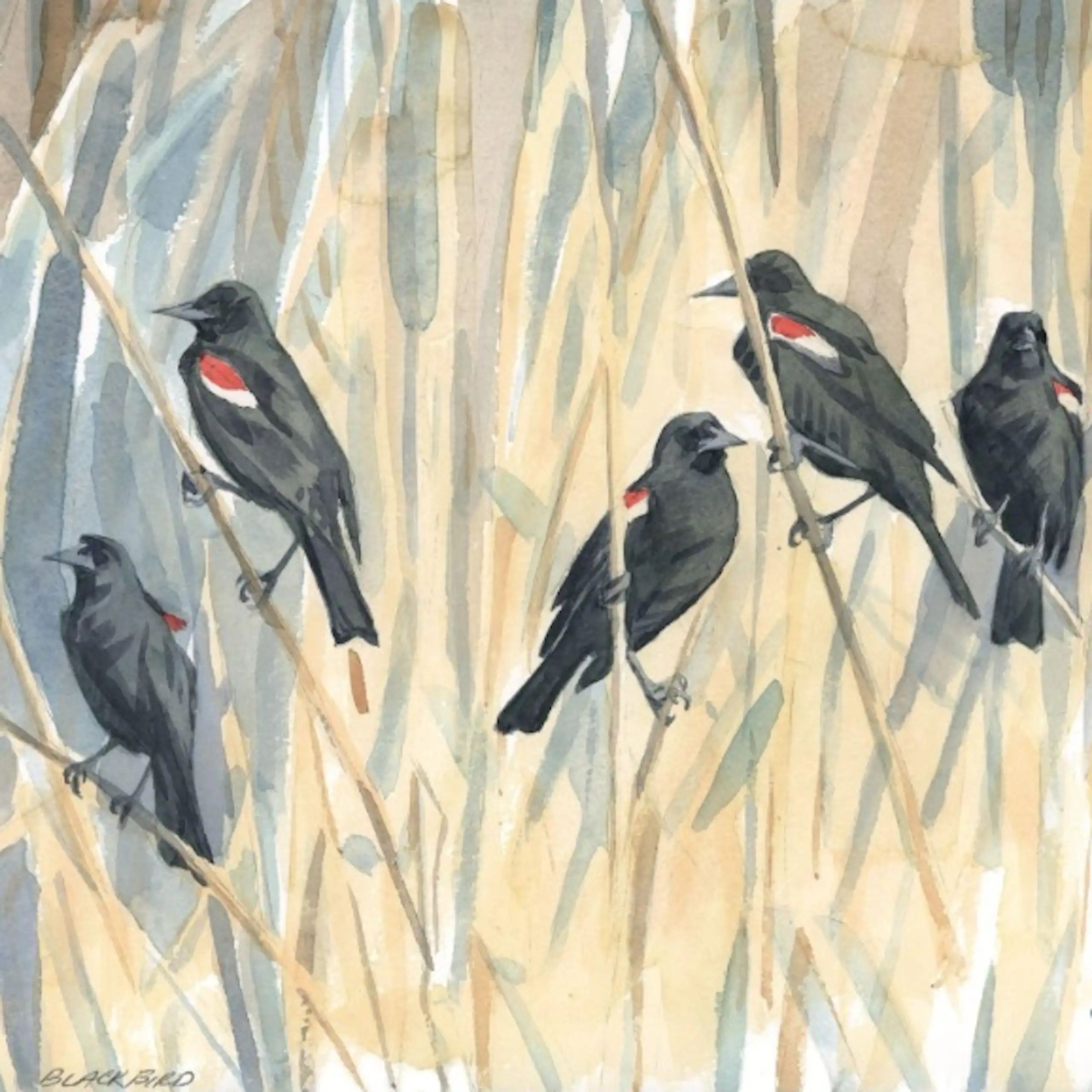 An illustration shows five birds with red and white winds on stalks in a field.