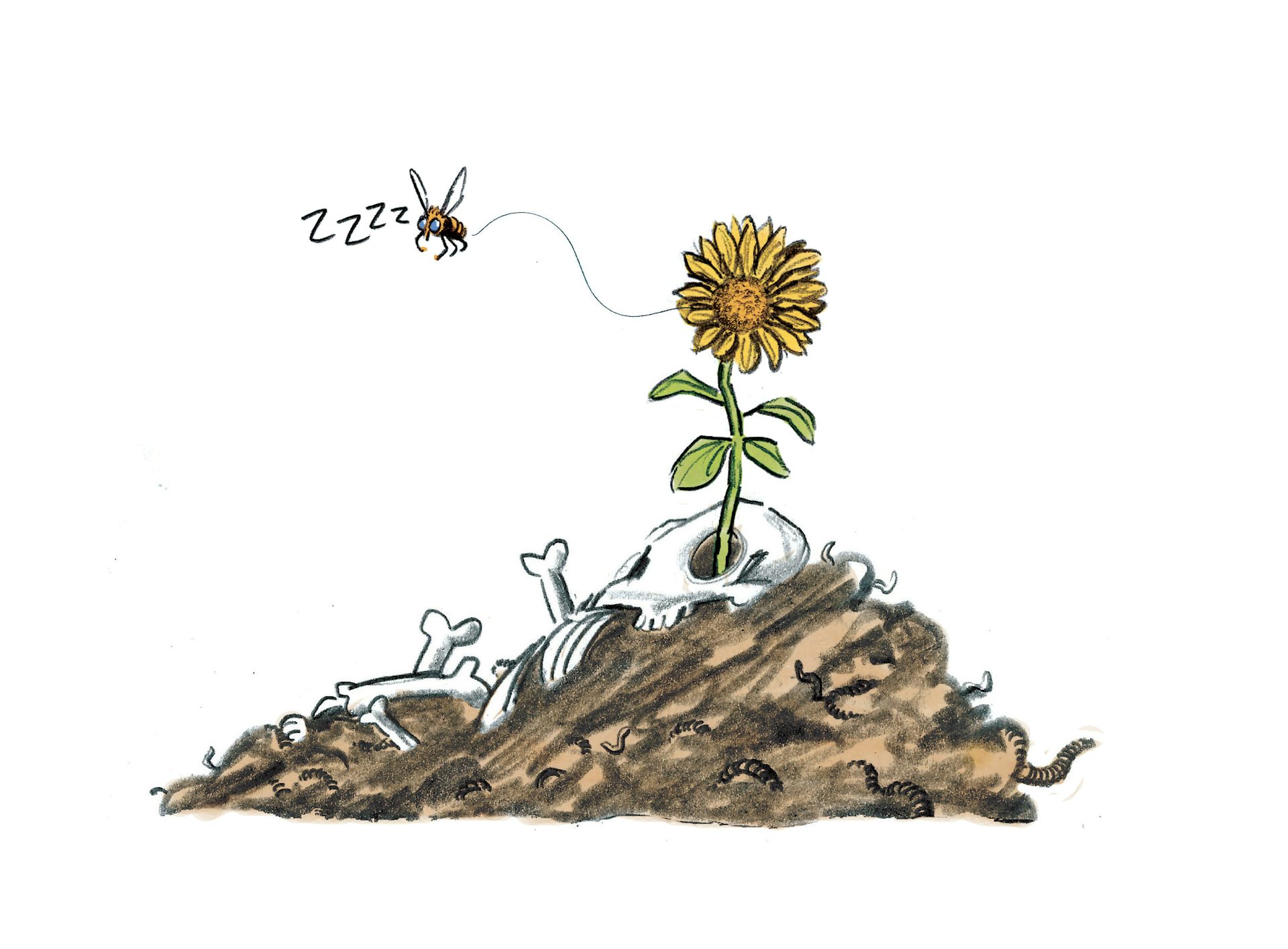 Planche 83 : à décrire