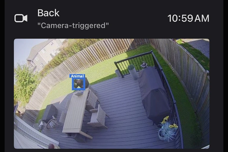 A Black woman sits on a deck in a backyard, on a security camera image, with a blue box around her head and the word 'Animal' above it.