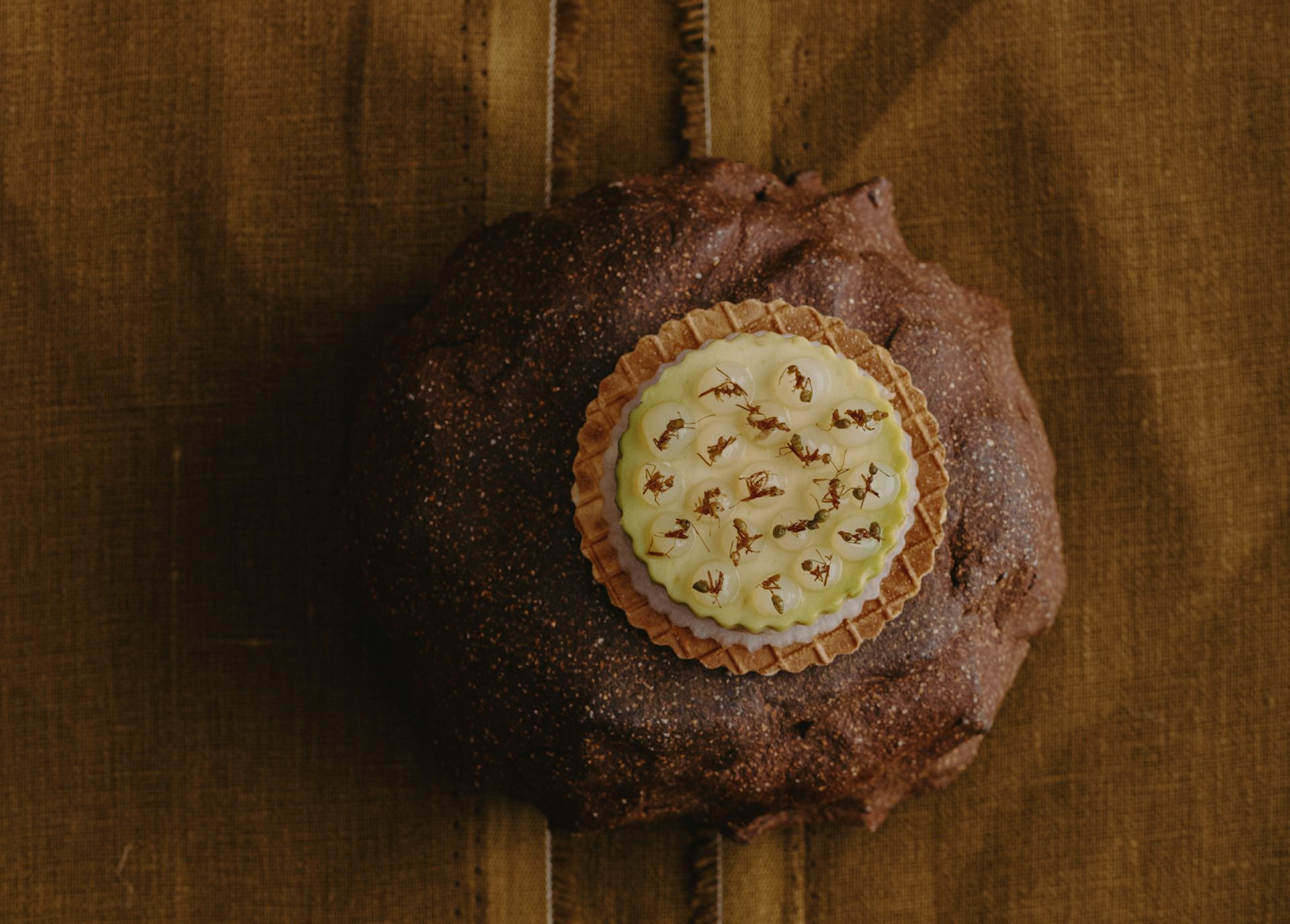 A bread role with a Tarte on top, featuring artfully arranged green ants.