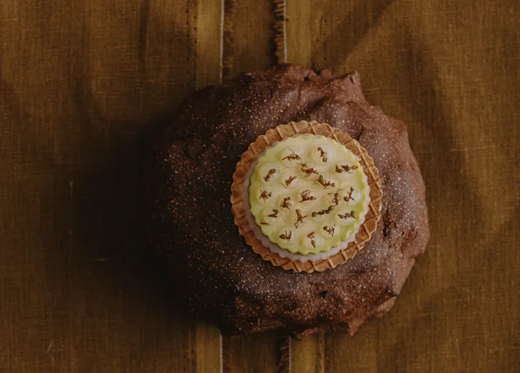 A bread role with a Tarte on top, featuring artfully arranged green ants.