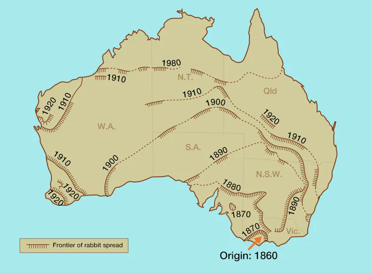map of australia showing the expansion of rabbits