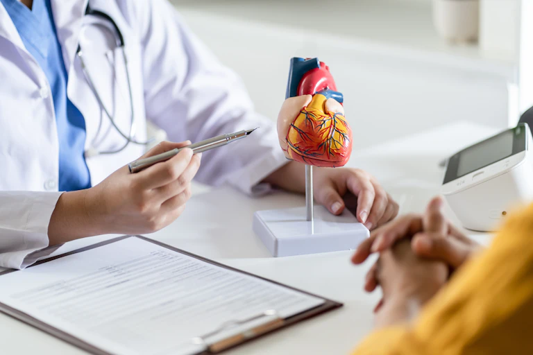 A doctor pointing to a model of a heart.