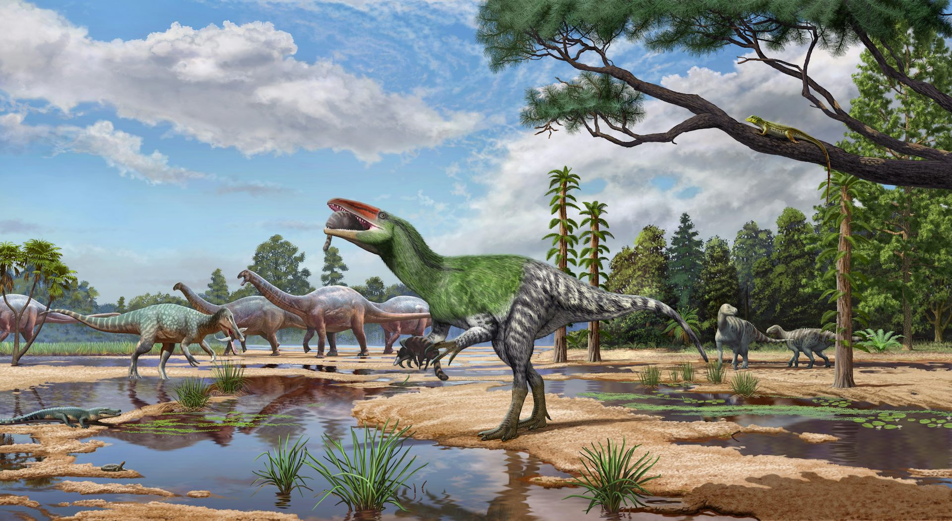New long-clawed British dinosaur is the first of its kind in Europe