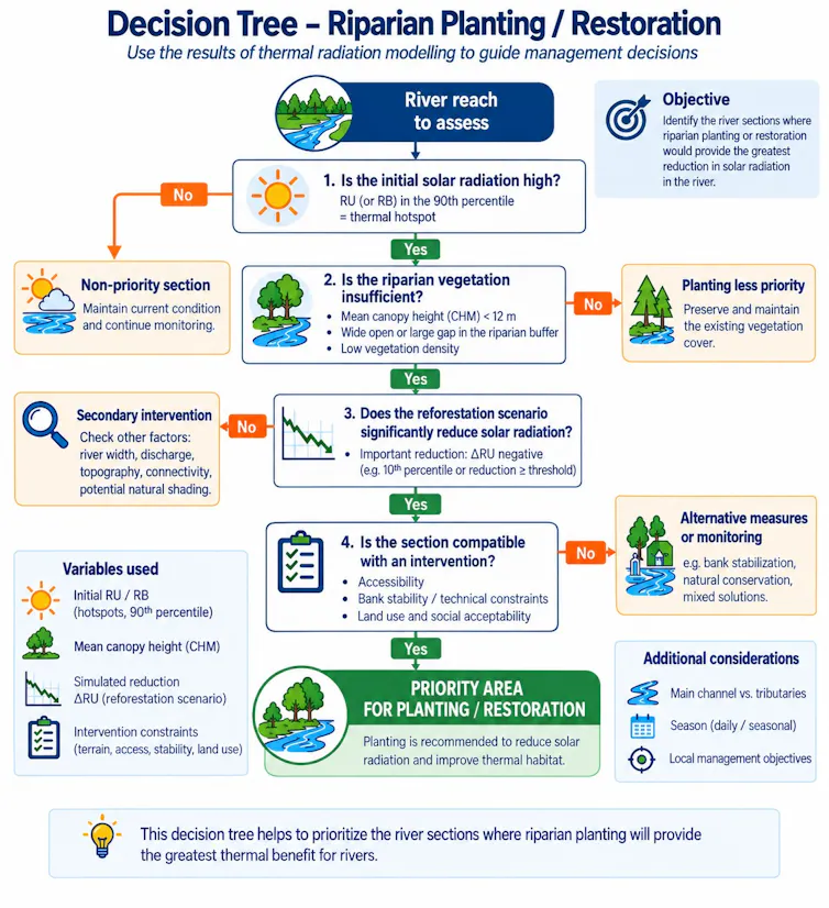 Decision tree with boxes and arrows illustrating vegetation planting along riverbanks