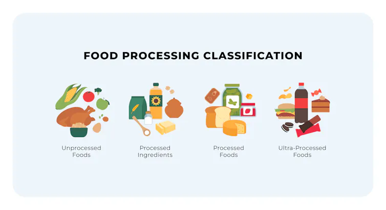 A schematic of the four NOVA food processing categories - unprocessed foods, processed ingredients, processed foods and ultraprocessed foods