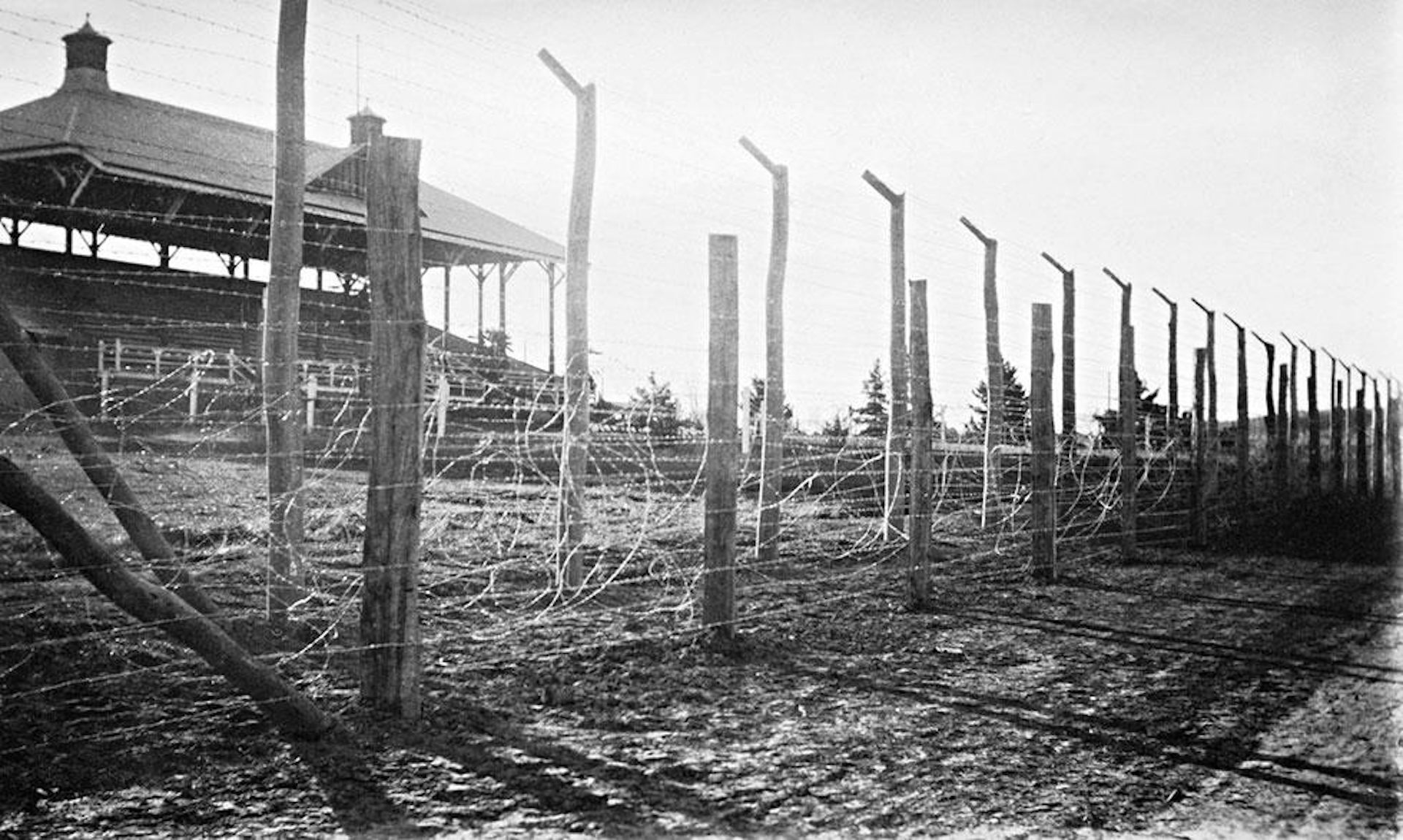 Interned as ‘enemy aliens’ in Australia, these WWII refugees built their own universities