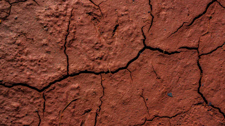 red cracked soil