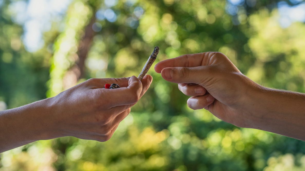 theconversation.com - Amir Englund - Cannabis is getting stronger, but doubling THC dose doesn't get you twice as 'high' - new study