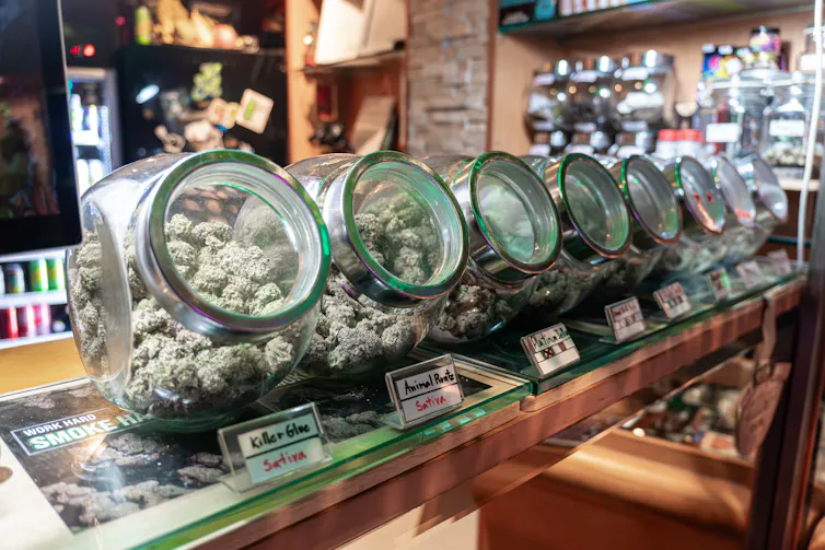 A shop selling cannabis products in Thailand.