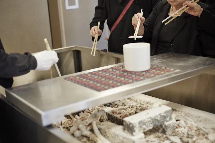 People dressed in black, holding large chopsticks, putting bone fragments in a funerary urn.