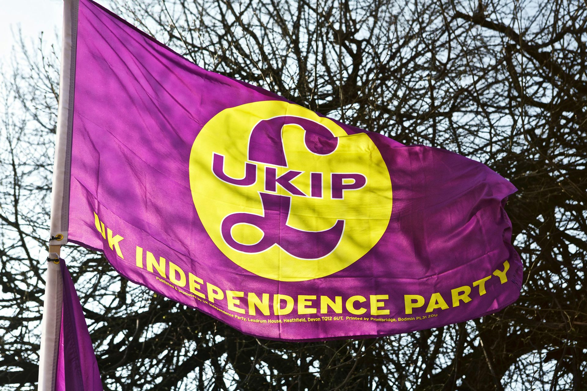 A Ukip flag.