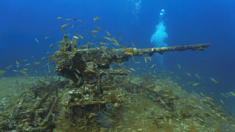 Gun underwater with fish