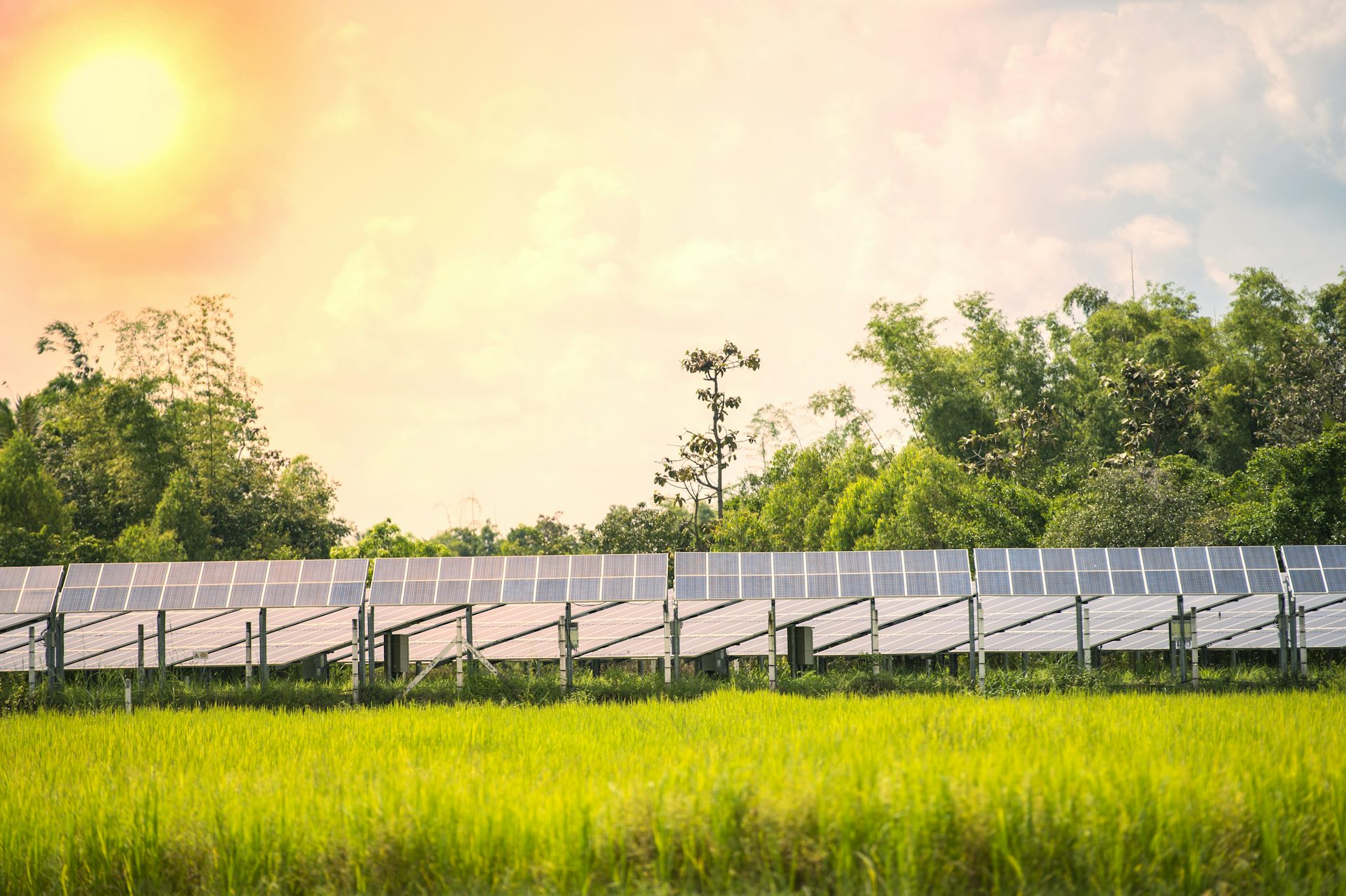 Hot and cold climate extremes push UK’s energy system to its limits ...