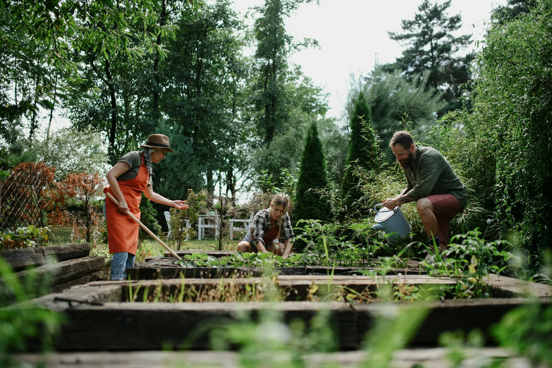 Three people work in a garden plot together with trees behind.