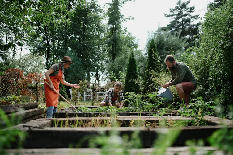 Three people work in a garden plot together with trees behind.