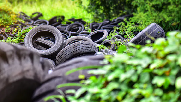 Neumáticos abandonados en medio de un campo verde