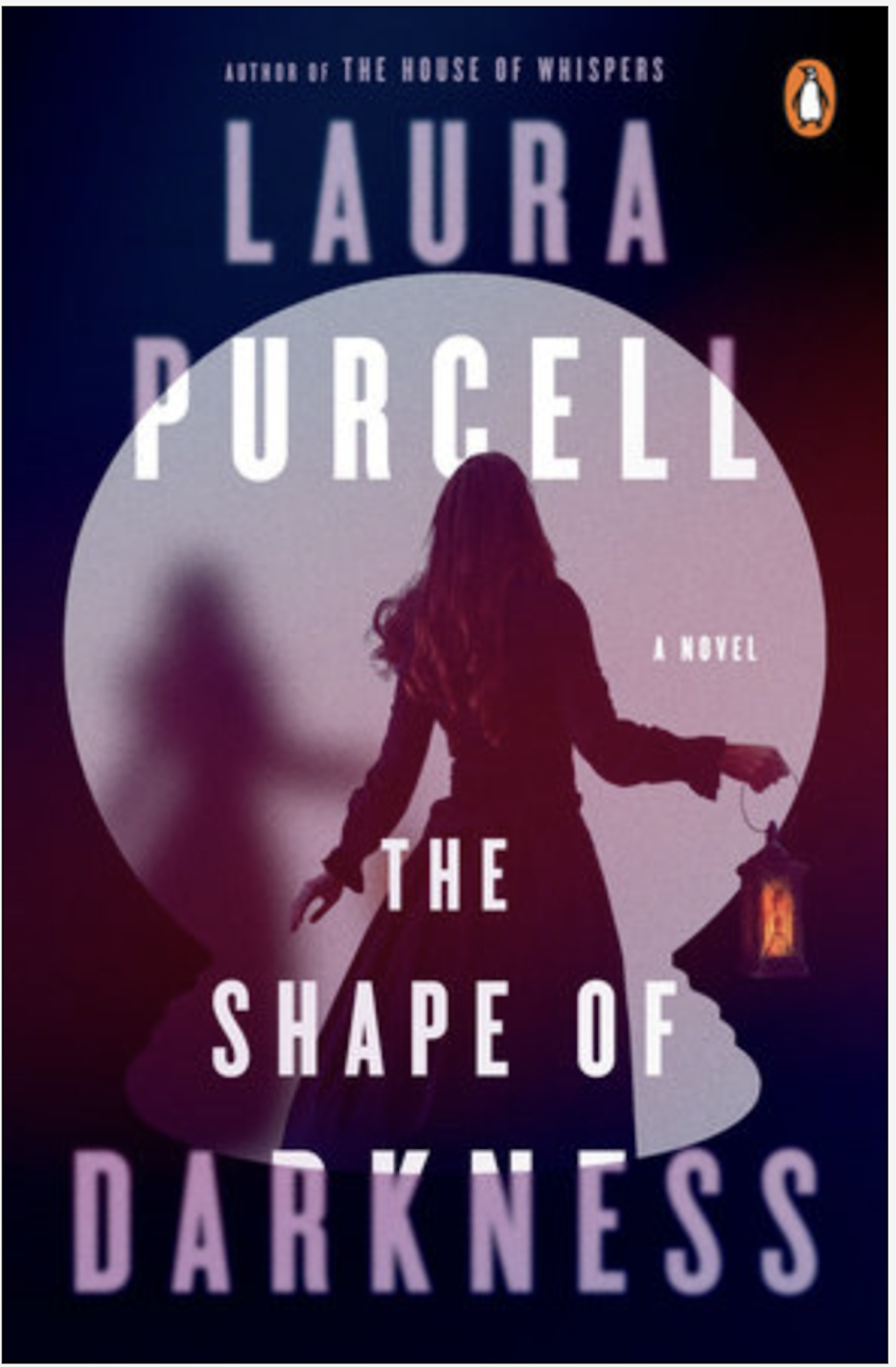 A book jacket cover that shows the silhouette of a woman through a keyhole.
